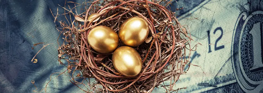 Nest Egg